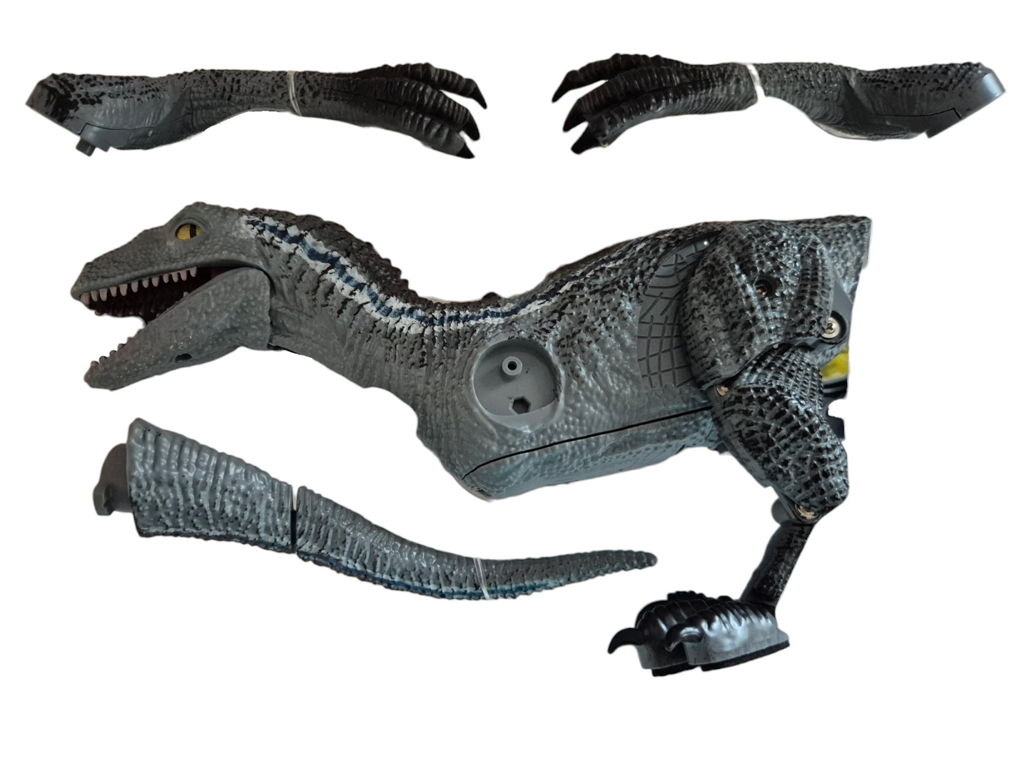 Velociraptor télécommandé